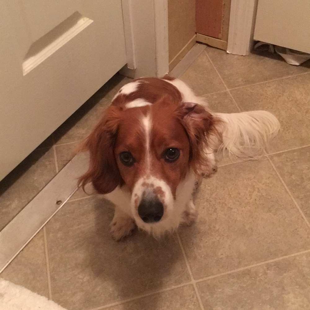 Meet your Posher, Eleina